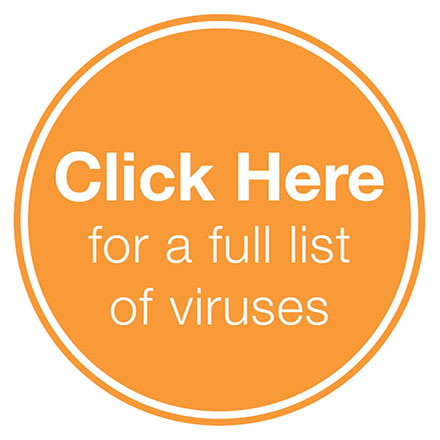 Click here for a full list of viruses