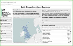 Cattle disease surveillance dashboard